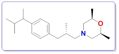 AMOROLFINE EP IMPURITY I 